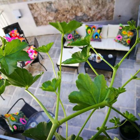 Cres Art Studio Lime Apartment 外观 照片